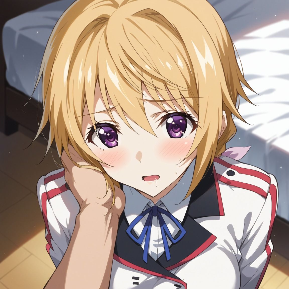 シャルロット・デュノアイラスト集1 - サンプル画像 1