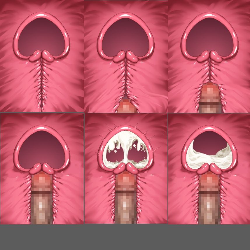 膣内断面図素材 - サンプル画像 2