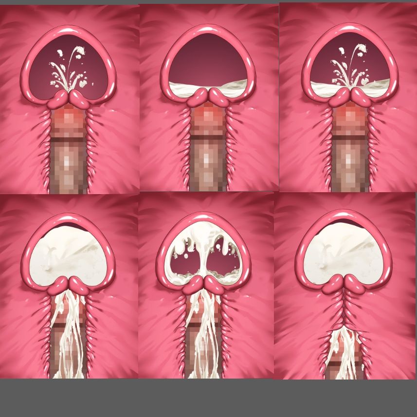 膣内断面図素材 - サンプル画像 3