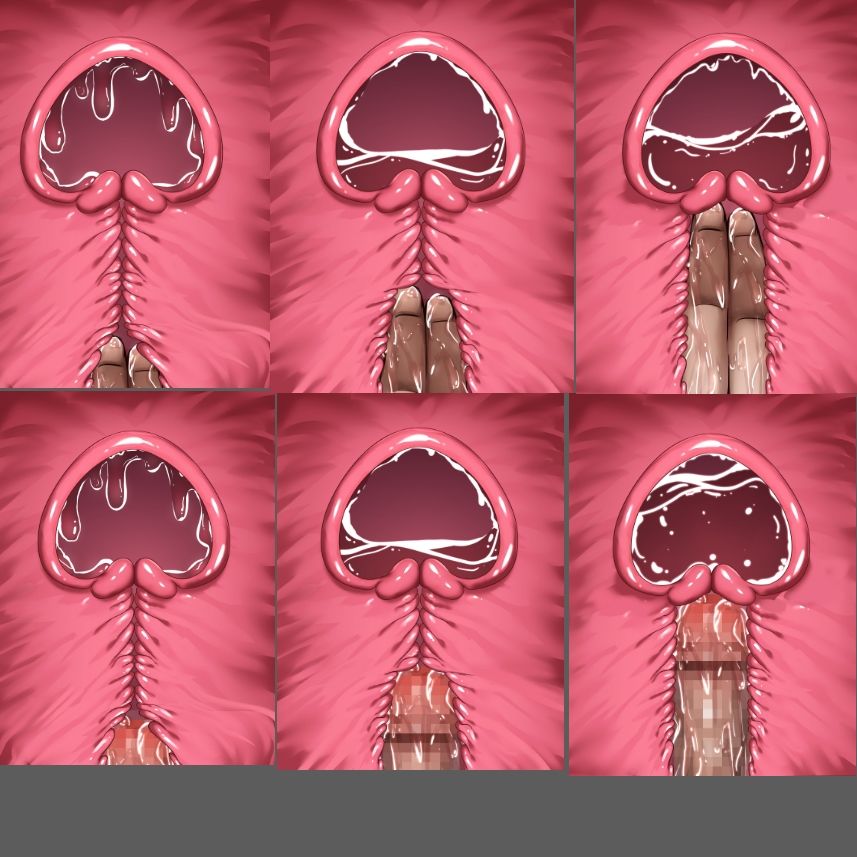 膣内断面図素材 - サンプル画像 4