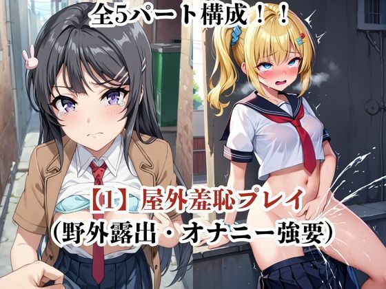 肉玩具認定証発行！！街の性処理係堕ち。―快楽と恥辱の記録―桜●麻衣＆豊●のどか編 - サンプル画像 3