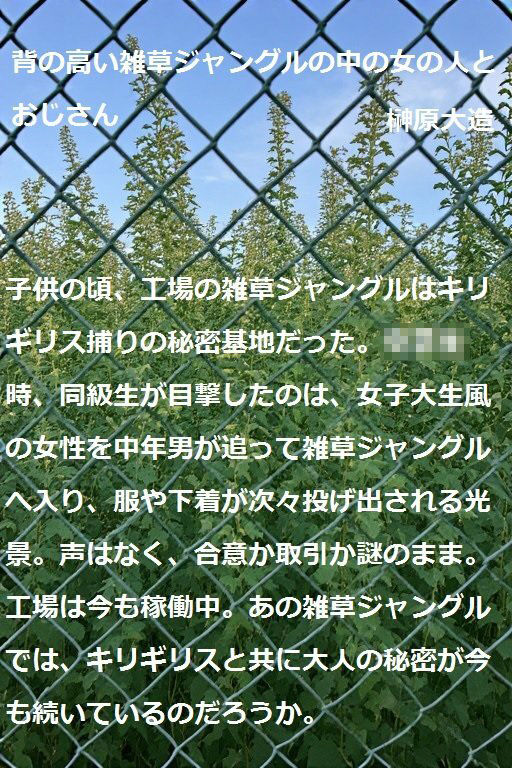 背の高い雑草ジャングルの中の女の人とおじさん - サンプル画像 6