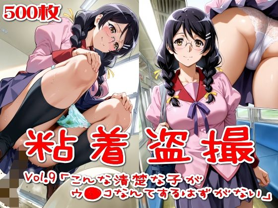 【500枚】粘着盗撮Vol.9「こんな清楚な子がウ●コなんてするはずがない」