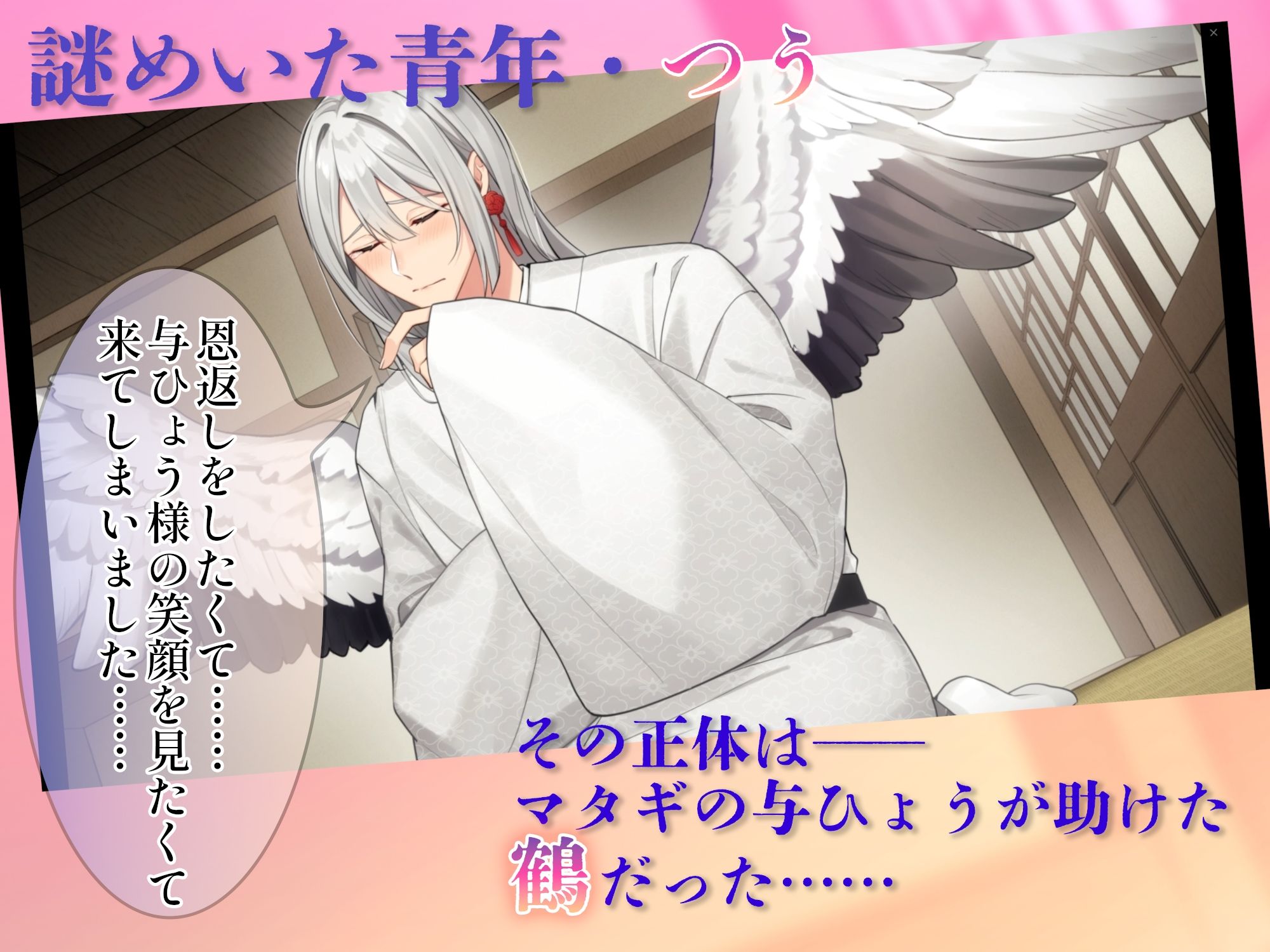 《Live2Dアニメ》敏感エロ鶴のえっちなカラダで恩返し〜絶頂体質メスお兄さんと種付け絶倫交尾〜 - サンプル画像 4