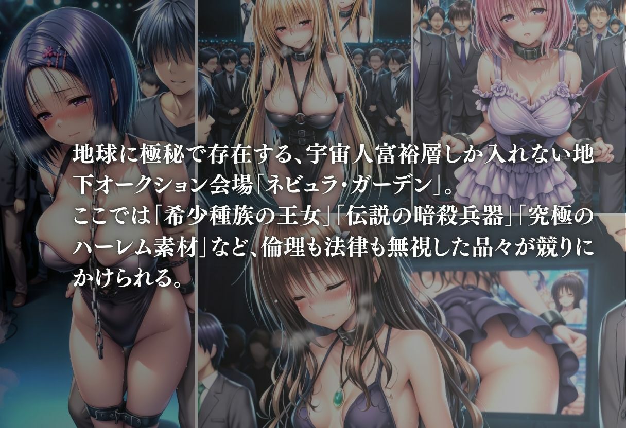 ヒロイン監禁  地下オークション - サンプル画像 2