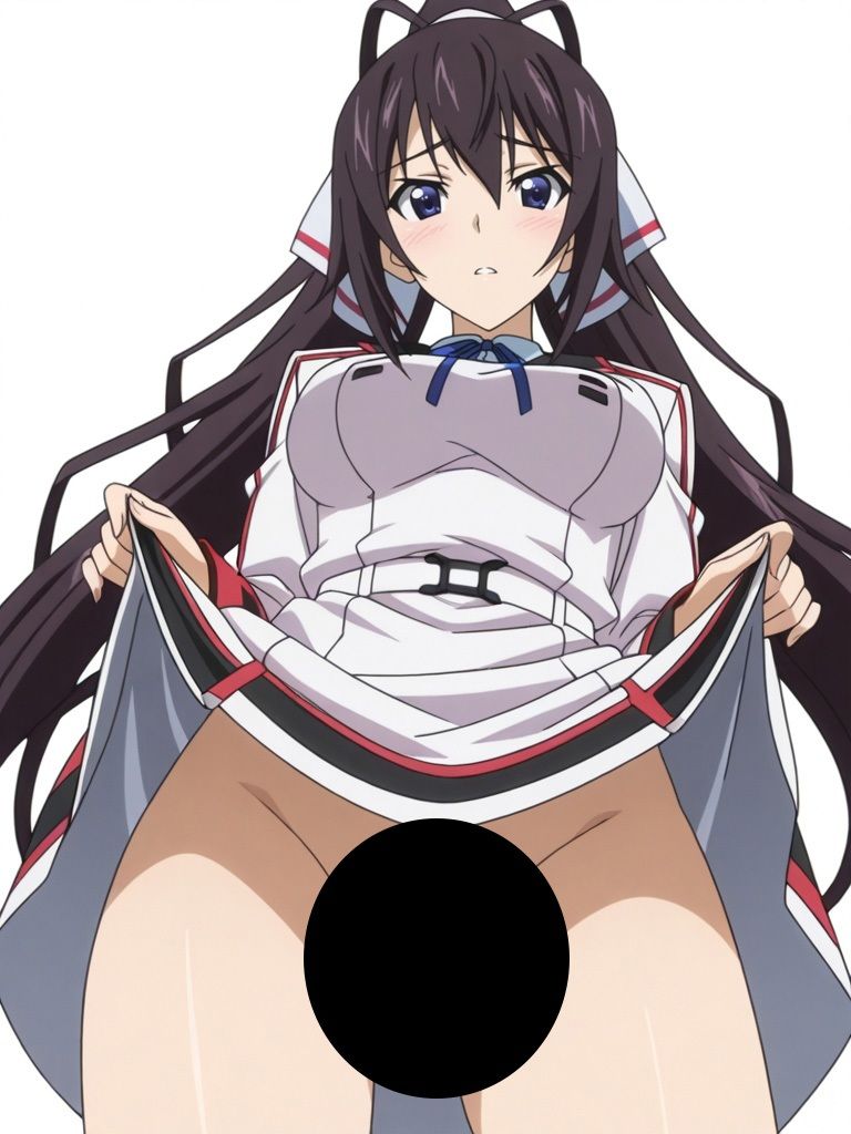 『IS 〈イ●フィニット・ストラトス〉』ヒロイン脱がしてみた ムキムキ色黒モブがヤリたい放題 スマホでも見やすい縦型 シチュエーション＆クオリティ厳選済み480枚！ - サンプル画像 3