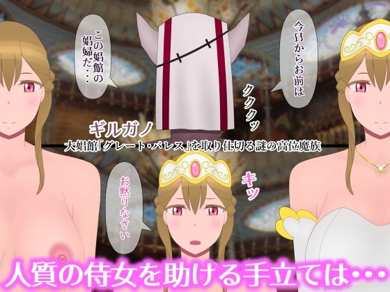 魔族相手の娼婦なんて聖女は絶対なりません - サンプル画像 2