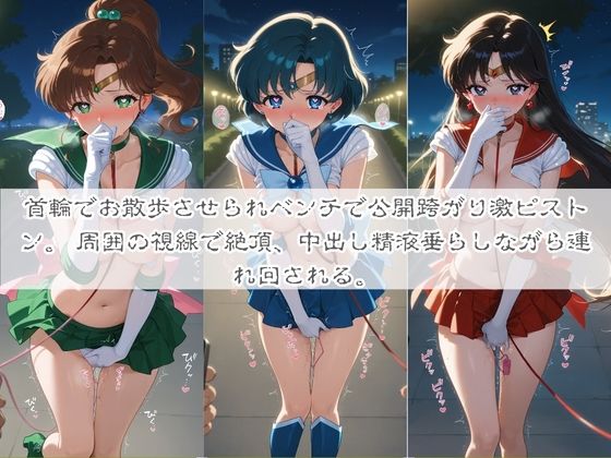 清楚系ヒロインがホームレスに拉致されて監禁いいなりオナホ化 セ〇ラームーン - サンプル画像 4