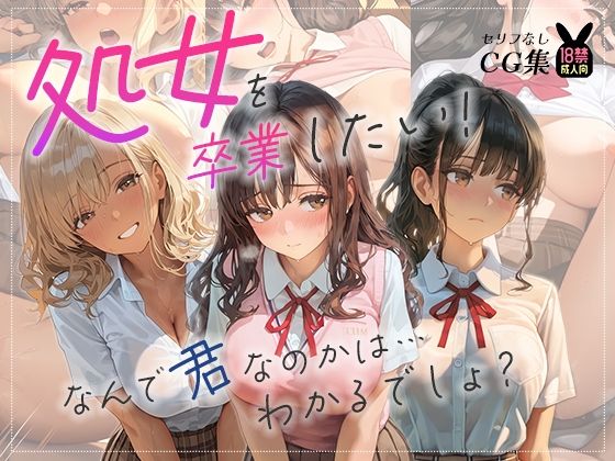 処女を卒業したい！―なんで君なのかは…わかるでしょ？―