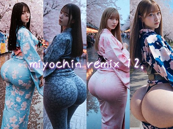 miyochin remix12，