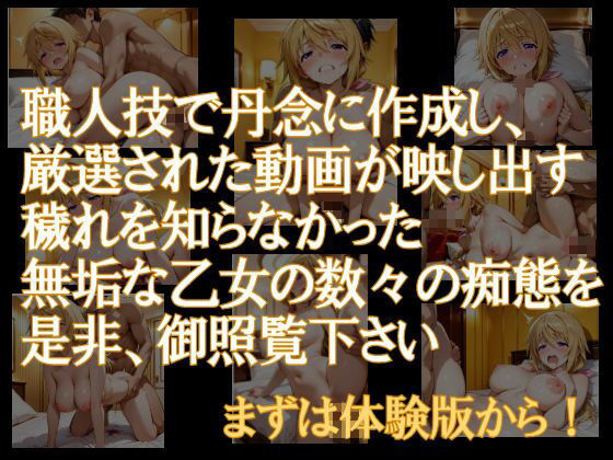 純潔乙女落花妖艶録 其ノ三 シャル●ット・デュノア編 - サンプル画像 2