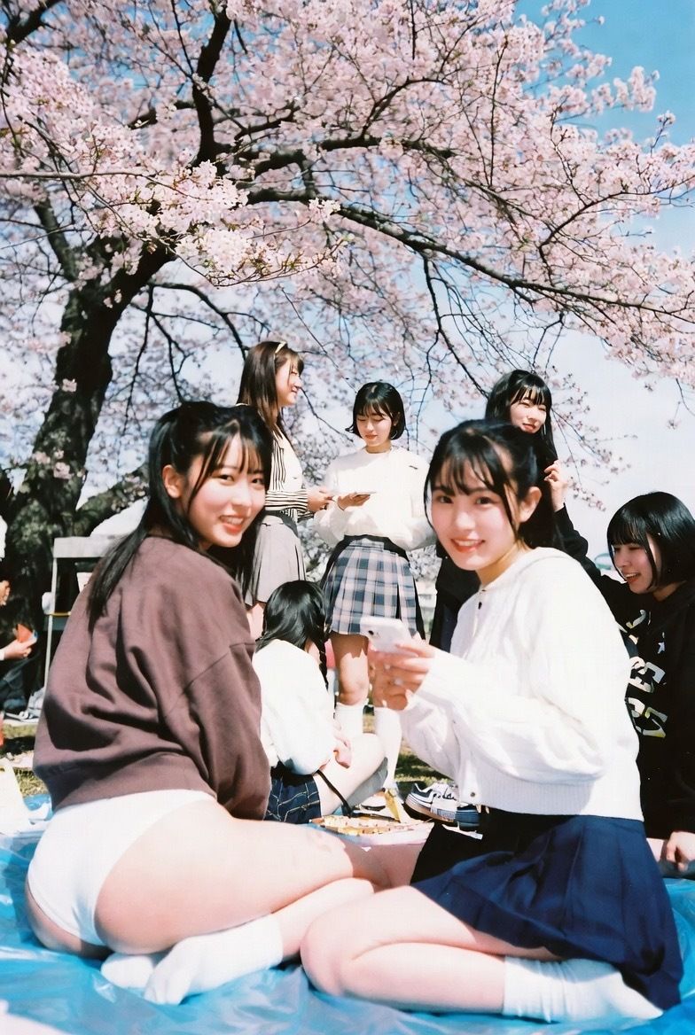 NAI-002 公園お花見美脚覗き 〜AI美女の無防備な脚線美と桜の下で〜 - サンプル画像 1