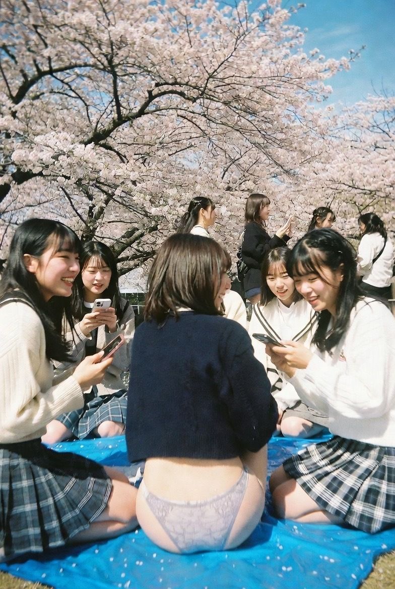 NAI-002 公園お花見美脚覗き 〜AI美女の無防備な脚線美と桜の下で〜 - サンプル画像 7