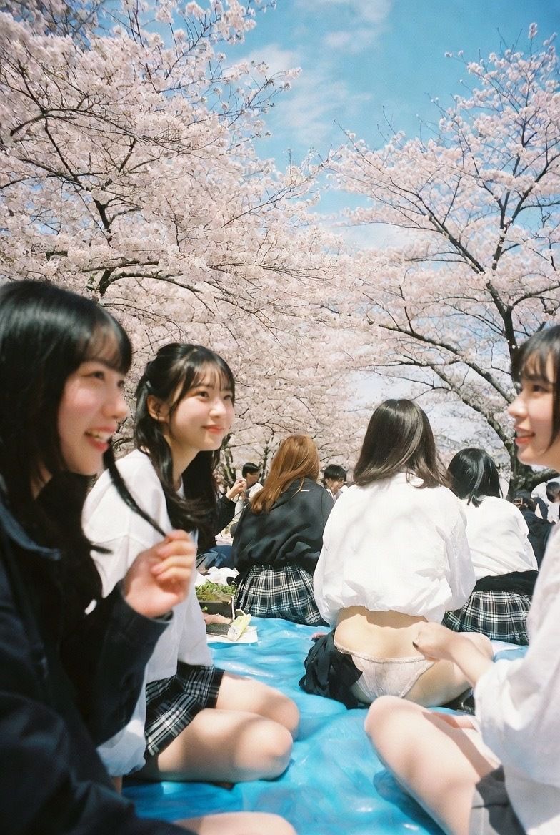 NAI-002 公園お花見美脚覗き 〜AI美女の無防備な脚線美と桜の下で〜 - サンプル画像 9