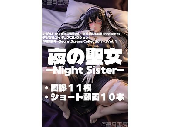 夜の聖女 - Night Sister -