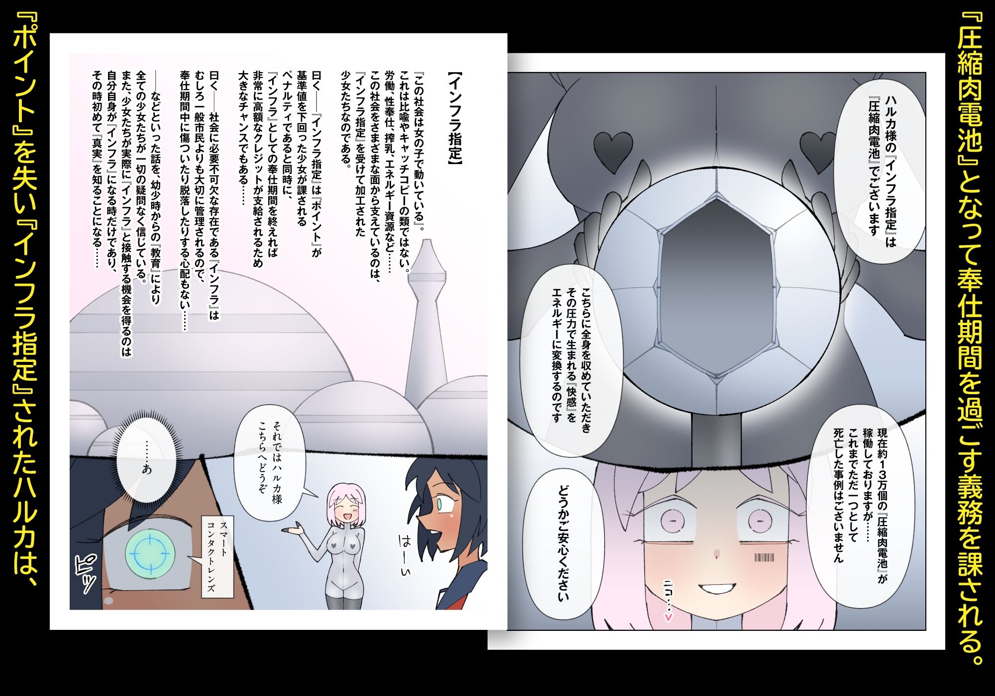 少女加工集 - サンプル画像 2