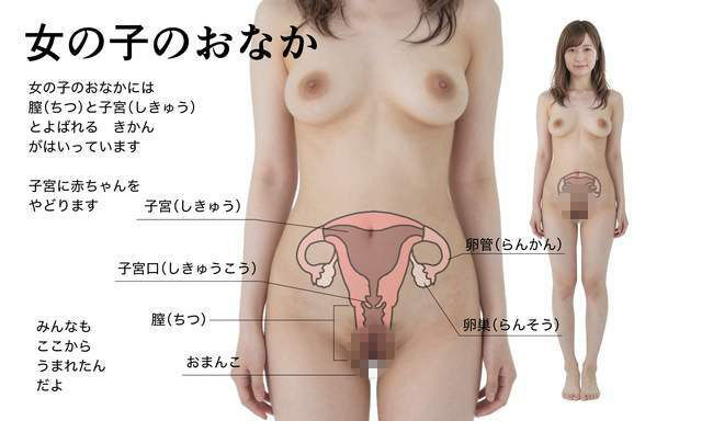 わたしたちのからだ〜こどもができるしくみ〜【実写風AIリメイク】 - サンプル画像 5