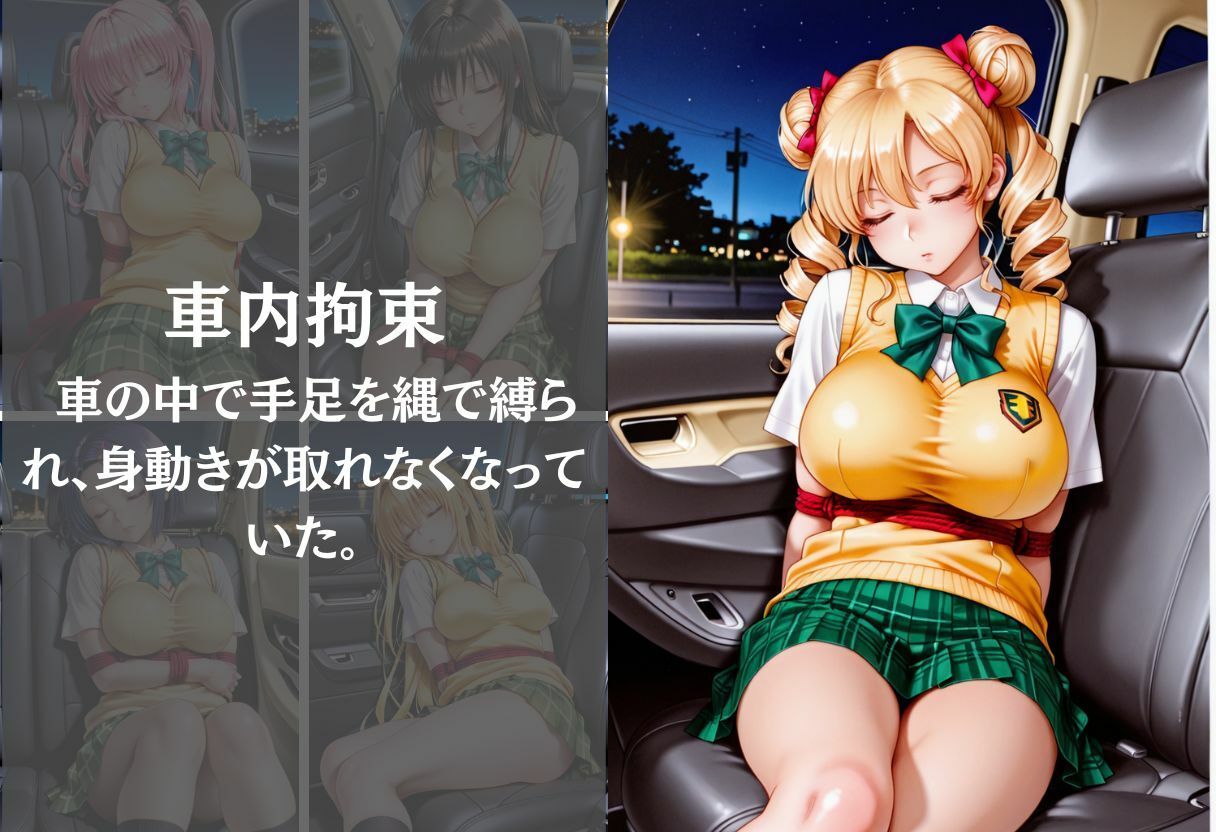 夜道拉致〜監禁された制服美少女の惨めな凌● Vol.1 - サンプル画像 4