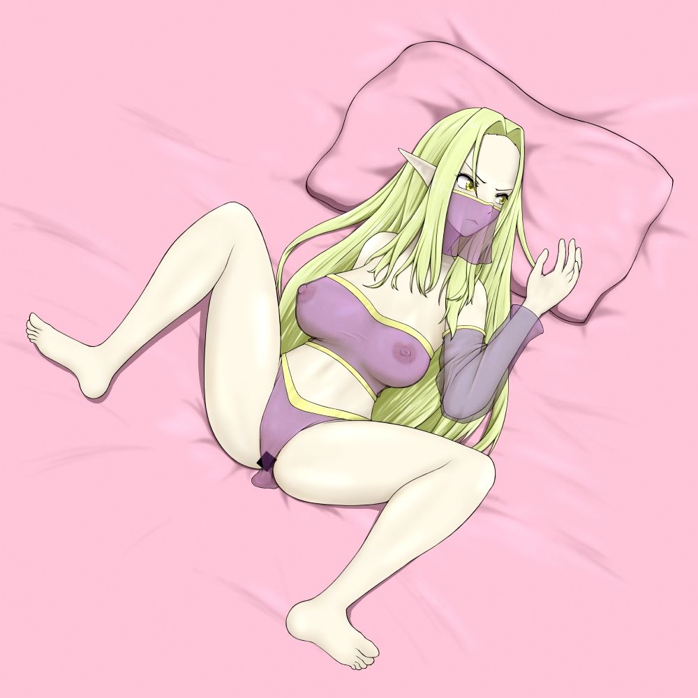 エルフ本2 - サンプル画像 5