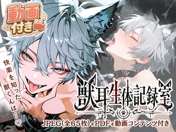 008.【獣耳生体記録室】動画付き