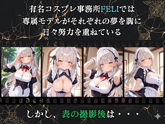 【裏流出ファイル】コスプレ事務所社長による所属モデルへの特別指導（銀髪メイド編） - サンプル画像 1