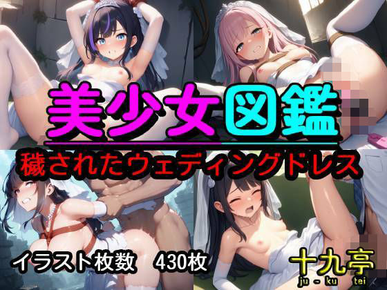 美少女図鑑  穢されたウェディングドレス