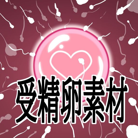 受精卵素材 - サンプル画像 1