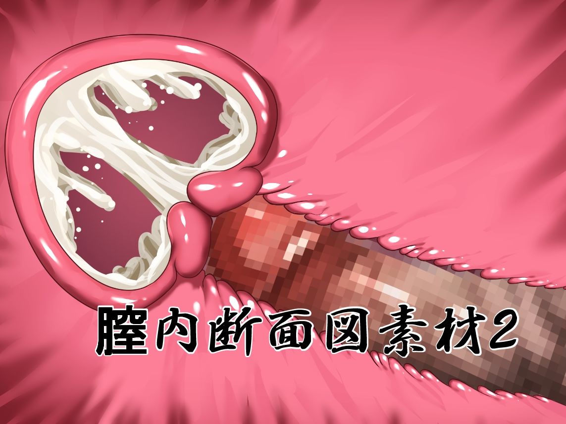 膣内断面図素材2 - サンプル画像 1