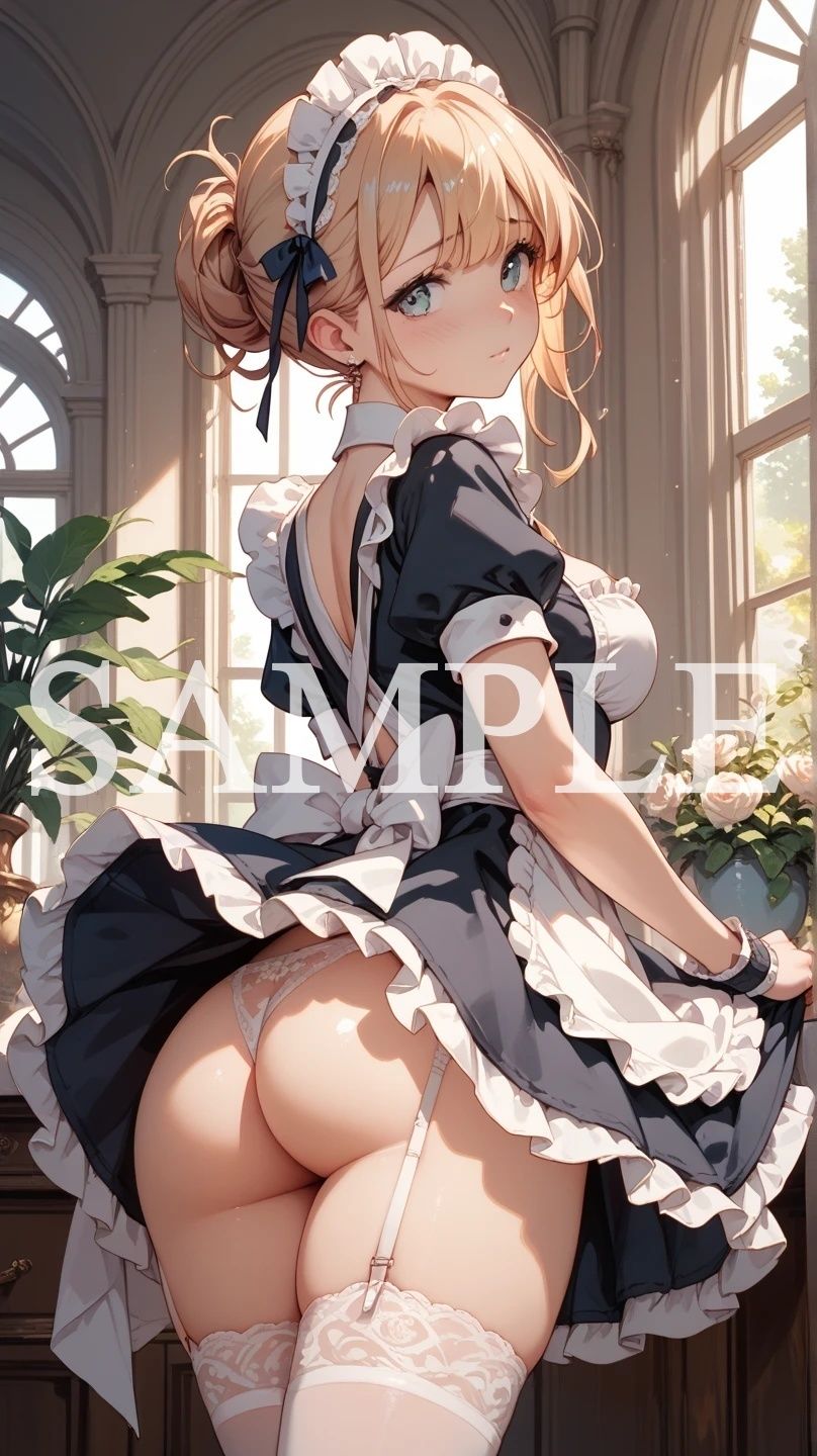 【豪華500枚セット】Luxury Maid - サンプル画像 1