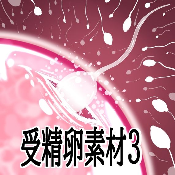 受精卵素材3 - サンプル画像 1