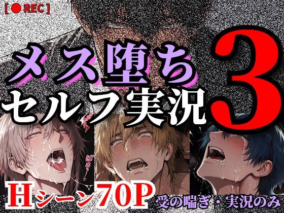メス堕ちセルフ実況3 YAOI SEX イラスト集