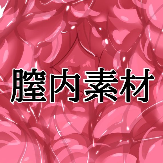 膣内素材 - サンプル画像 1