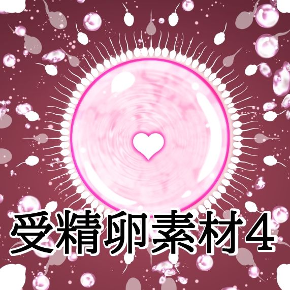 受精卵素材4 - サンプル画像 1