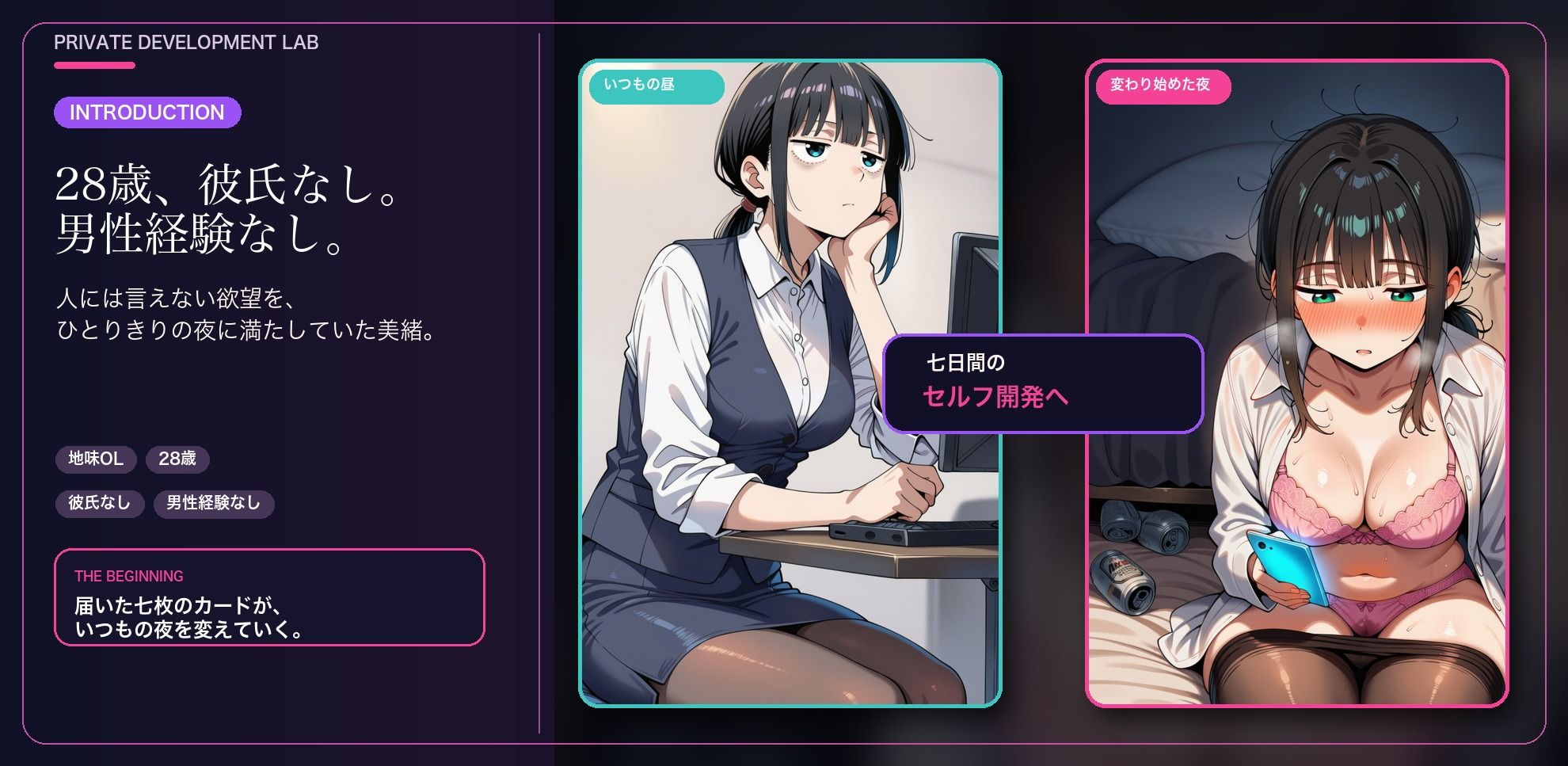 七日間のセルフプレジャープログラムに申し込む女 - サンプル画像 1