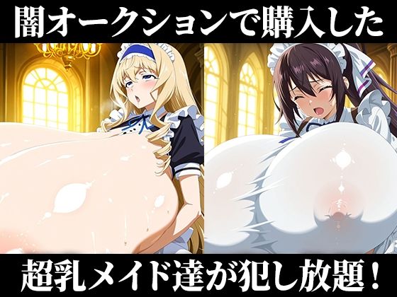 闇オークションで買われた超乳少女達は、メイドとしてご主人様の子供を孕み続ける… 【シャルロッ〇デュノア/セシリ〇オルコット/篠ノ〇箒/織〇千冬】 - サンプル画像 1