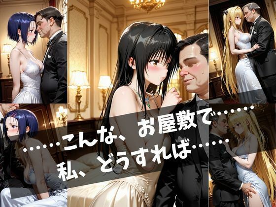 令嬢と老紳士の夜 〜恥じらいの豪邸奉仕〜 - サンプル画像 2