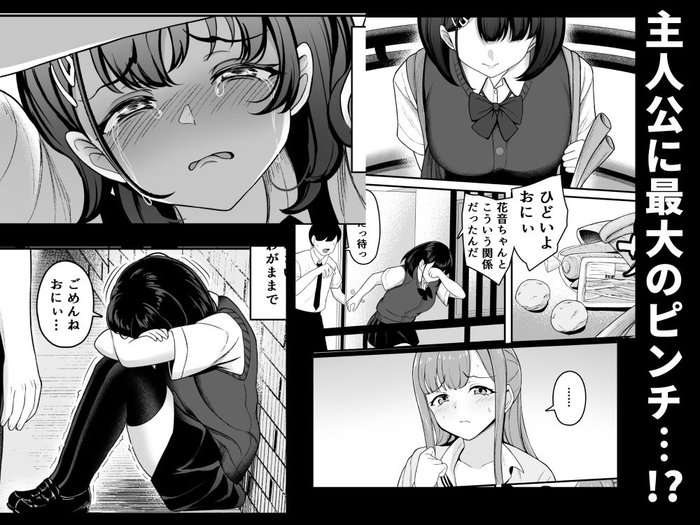 お家ハーレム！？  Sっ気の義妹とMっ気の幼馴染！ - サンプル画像 10