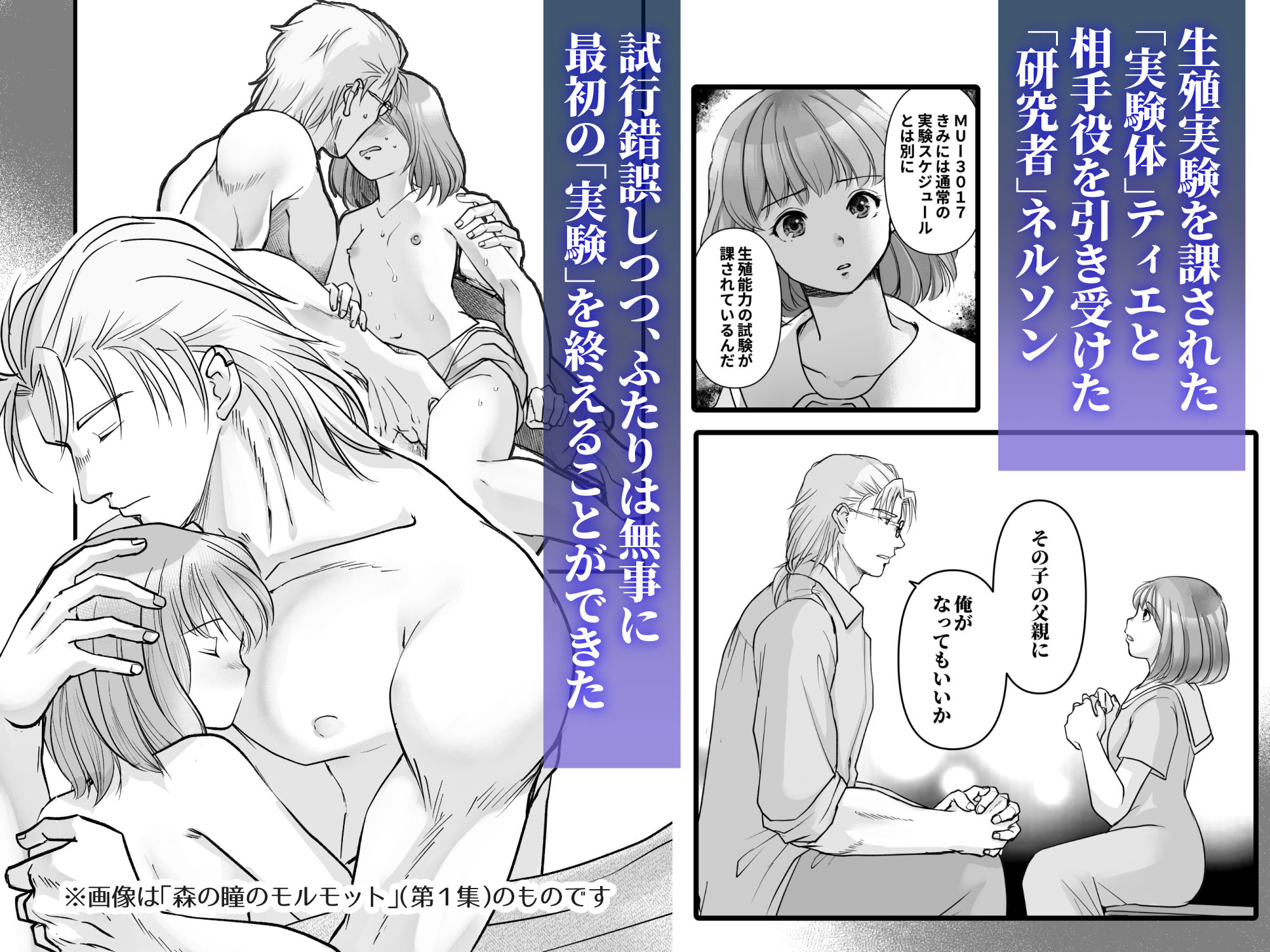 森の瞳のモルモット - 第2集 - - サンプル画像 2