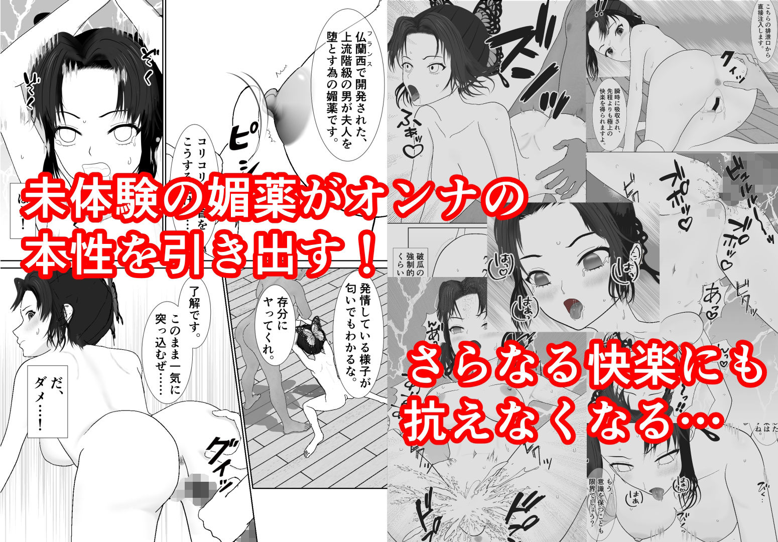 落蝶記 - サンプル画像 3