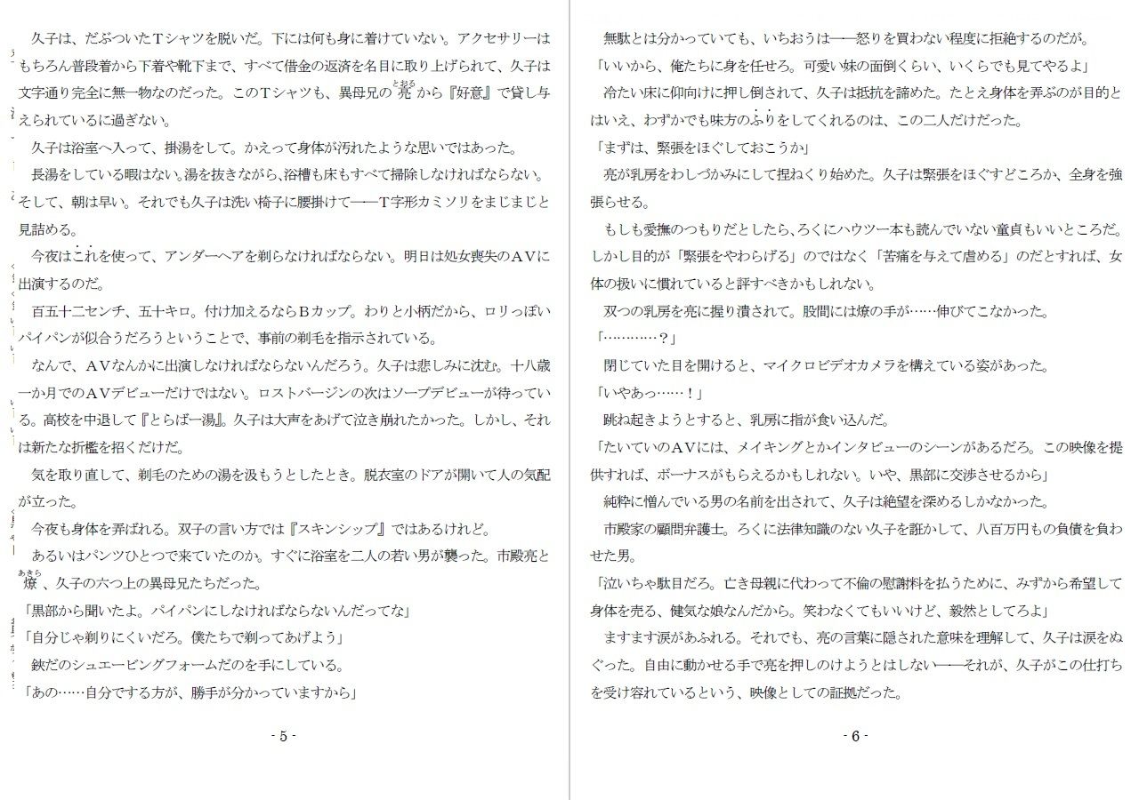 800万円のDVR:1淫虐調教編 - サンプル画像 3