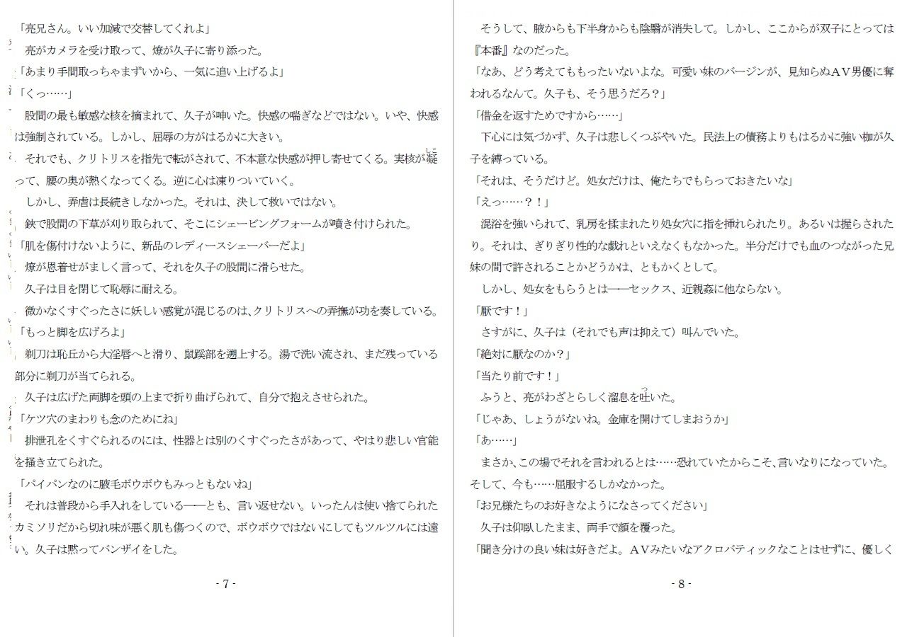800万円のDVR:1淫虐調教編 - サンプル画像 4