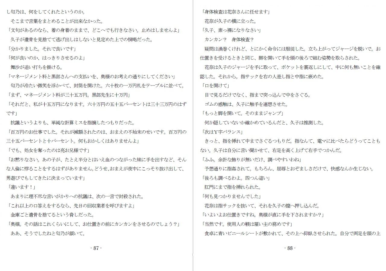 800万円のDVR:1淫虐調教編 - サンプル画像 8
