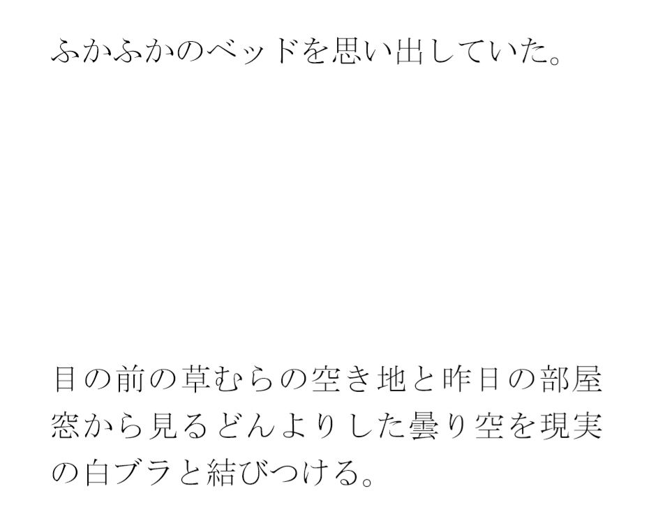 ホテル屋上と知人のおすすめのバー  その横の空き地とベンチ - サンプル画像 4