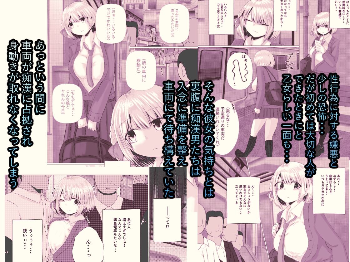 孕ませ痴●電車  白銀  響編 - サンプル画像 2