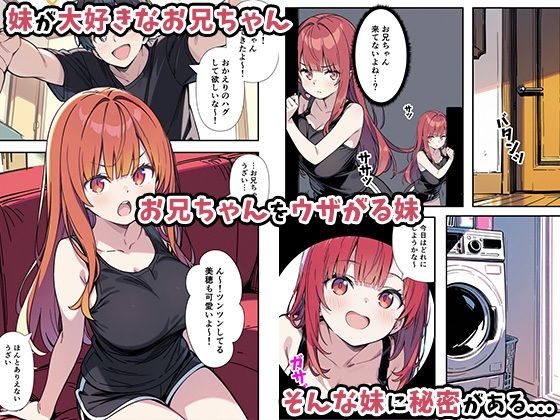 性欲ムンムンツンデレ妹が俺のパンツでオナニーしてたので我慢出来ず膣内出しした話 - サンプル画像 2