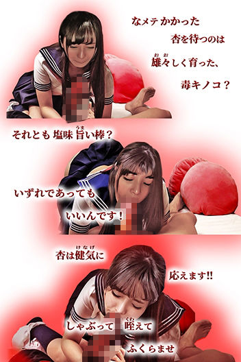 アプリコット・レポート - サンプル画像 2