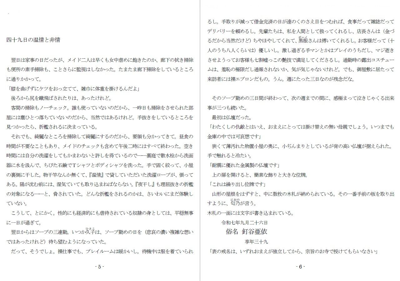 800万円のDVR:酷虐使役編 - サンプル画像 2