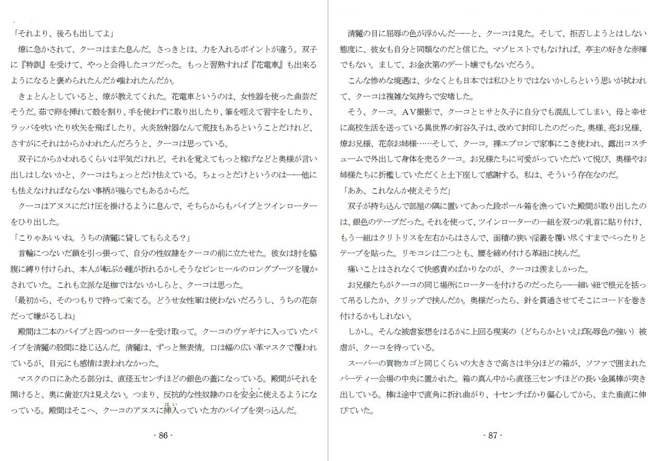800万円のDVR:酷虐使役編 - サンプル画像 6