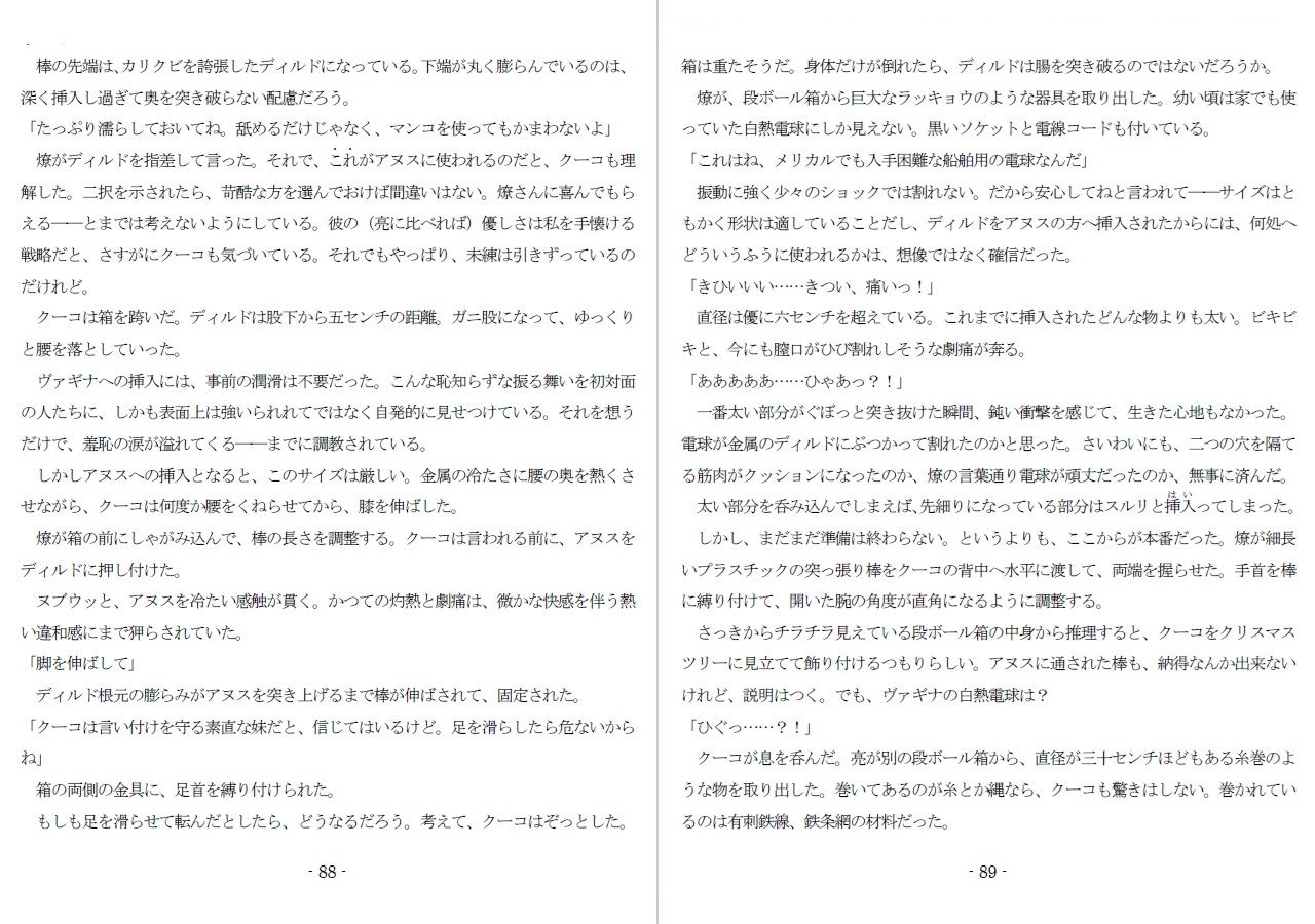 800万円のDVR:酷虐使役編 - サンプル画像 7