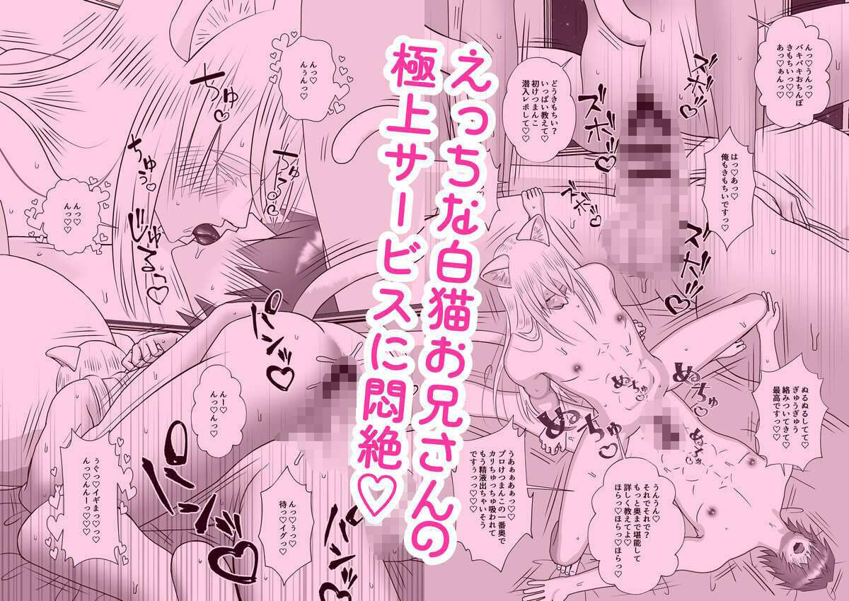 高級獣人男娼館のベテラン白猫キャストが初心者童貞客にたっぷりご奉仕する話 - サンプル画像 7